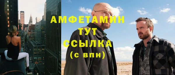 мет Алексин