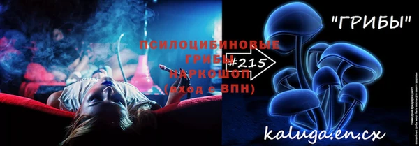 мет Алексин