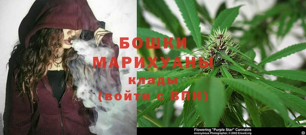 мет Алексин