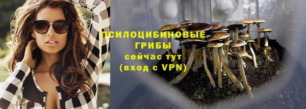 таблы Алзамай